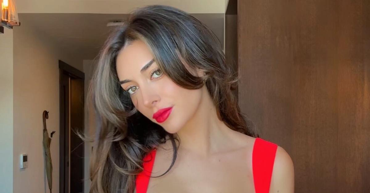 Brianna 'Chickenfry' LaPaglia Wears Stunning See-Through Dress: Photo