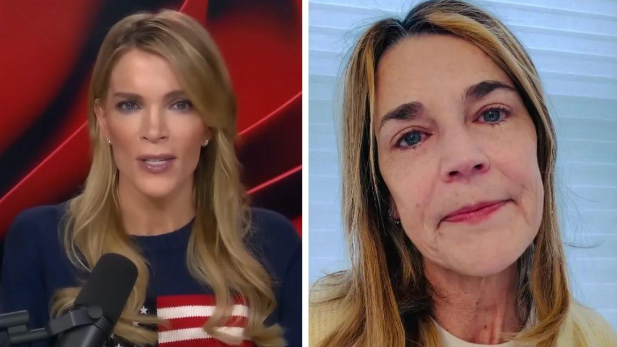 image of 'It is day 24 since our mom was taken in the dark of night from her bed,' Savannah Guthrie said in an Instagram video on Tuesday, February 24.