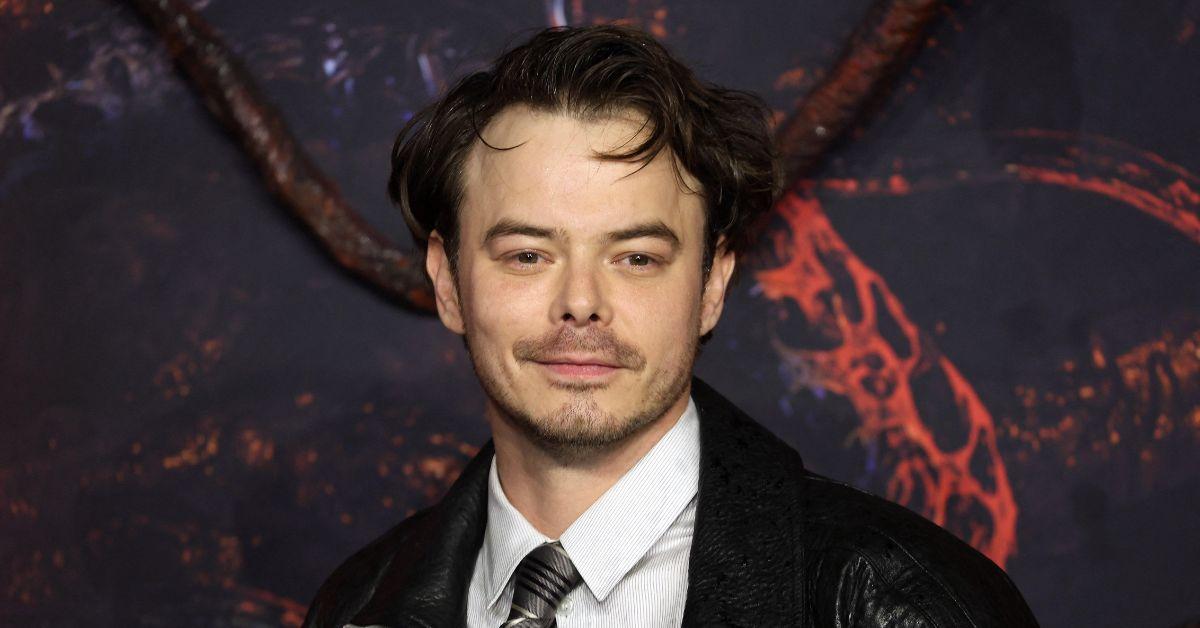 stranger things cast whats next for them after the shows finale