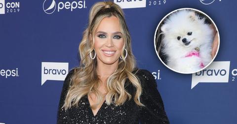 Instagram/Shutterstock