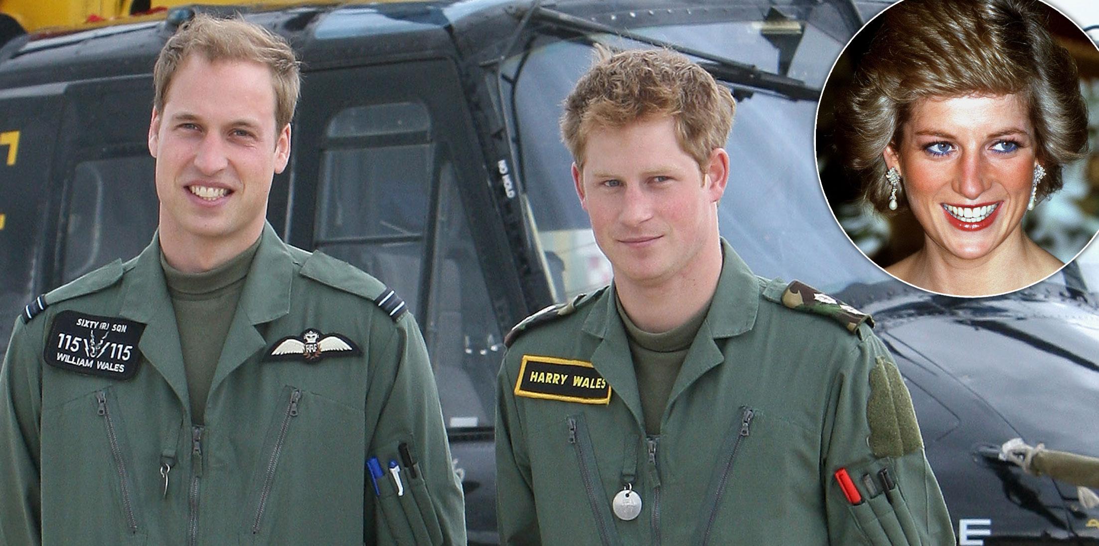 Princess Diana Sons William Harry Legacy Long