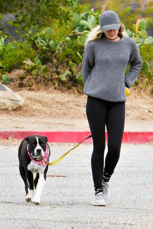 *EXCLUSIVE* Miley Cyrus takes her dog out for a hike with friend Wayne Coyne