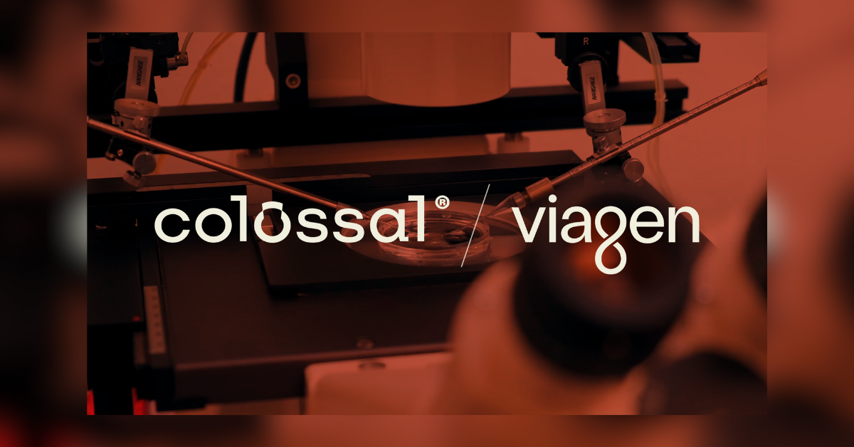 cloners get colossal inside the mega merger that will change the planet