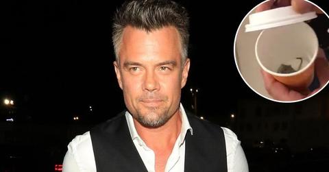 Josh duhamel mouse today show