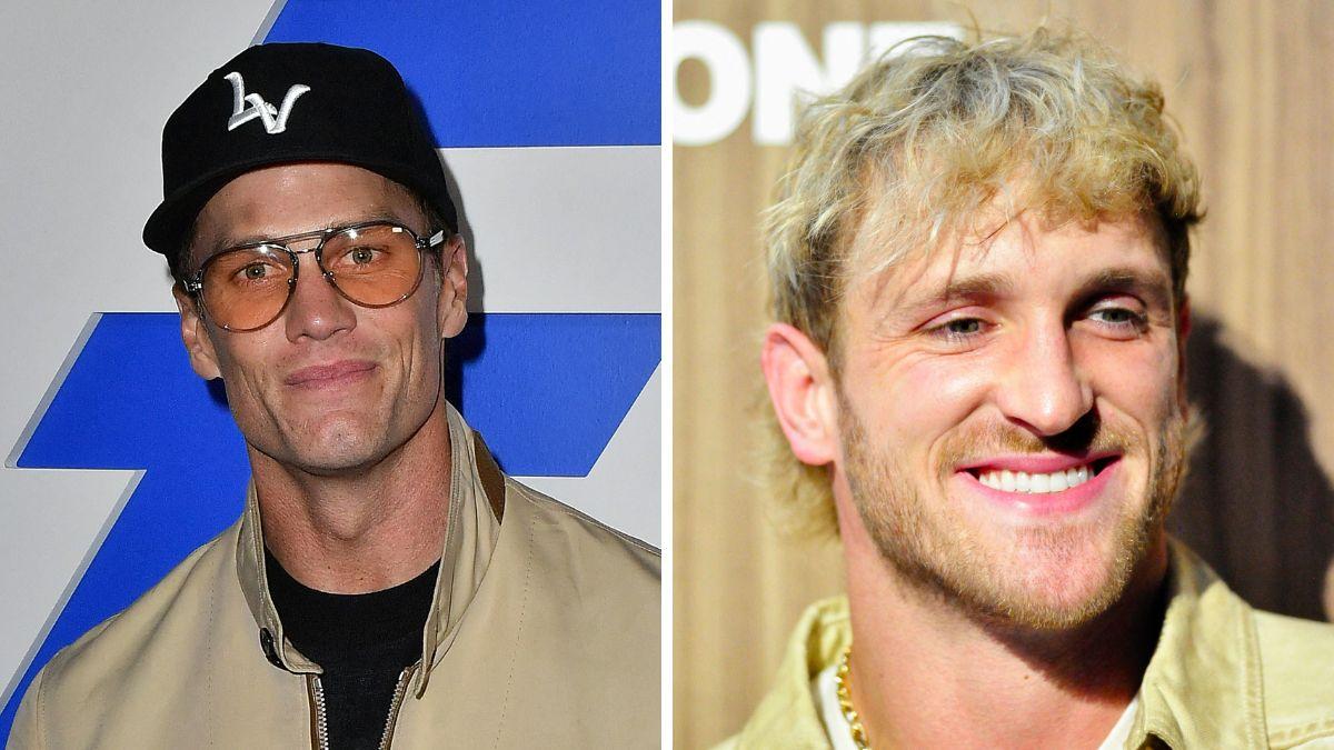 why are tom brady and logan paul feuding everything to know