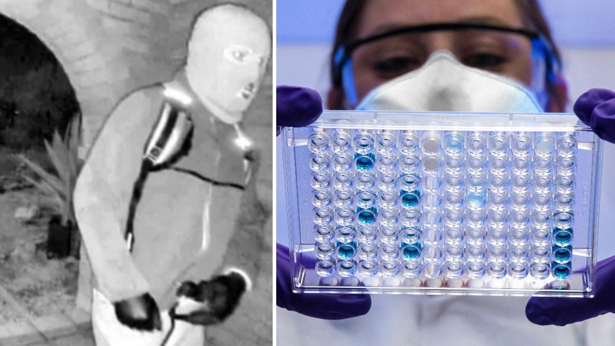 split of suspect and scientist. 