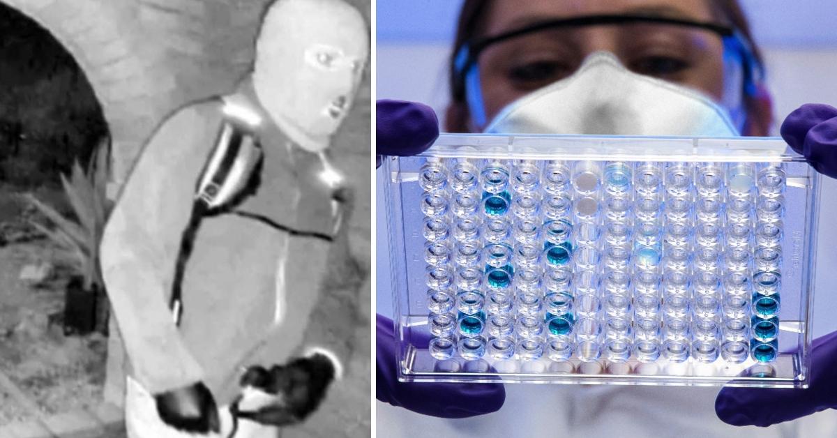 Nancy Guthrie Case Takes Dark Turn As Scientist Suggests Chilling Theory Over Suspect’s DNA