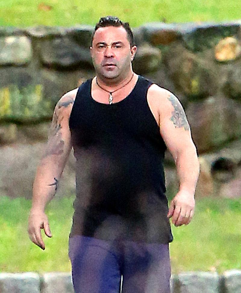 EXCLUSIVE: Joe Giudice Goes for a Solo Morning Walk with his Dog