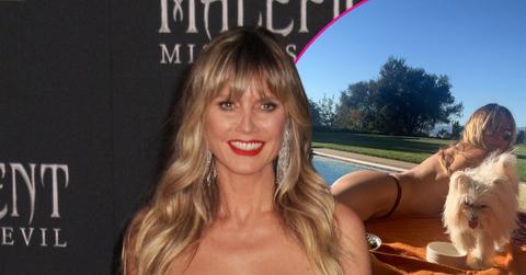 pic of Heidi Klum.