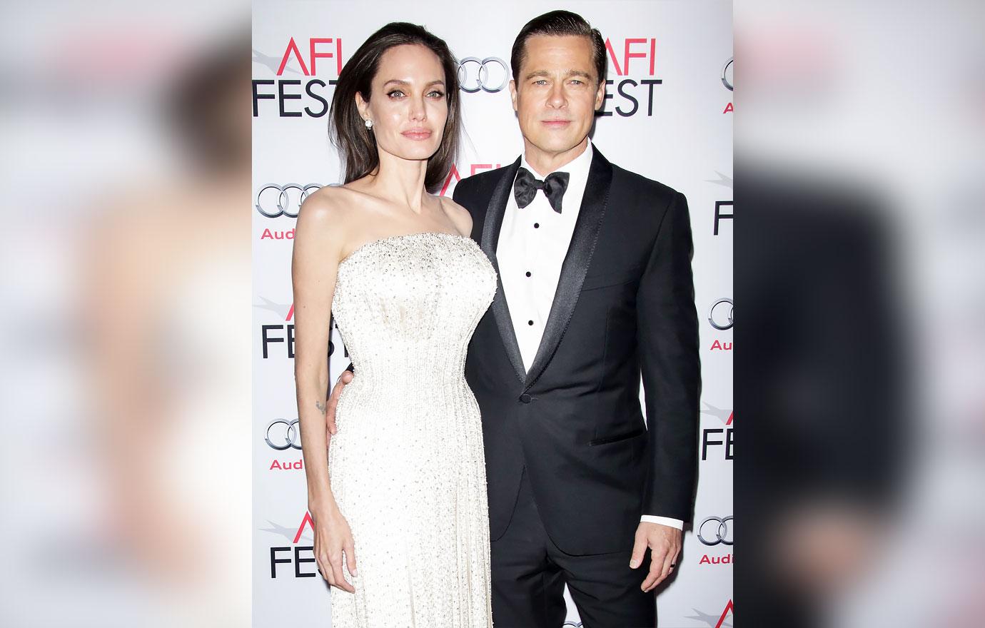 brad pitt sues angelina jolie vindictive plot offload shares french winery vineyard r