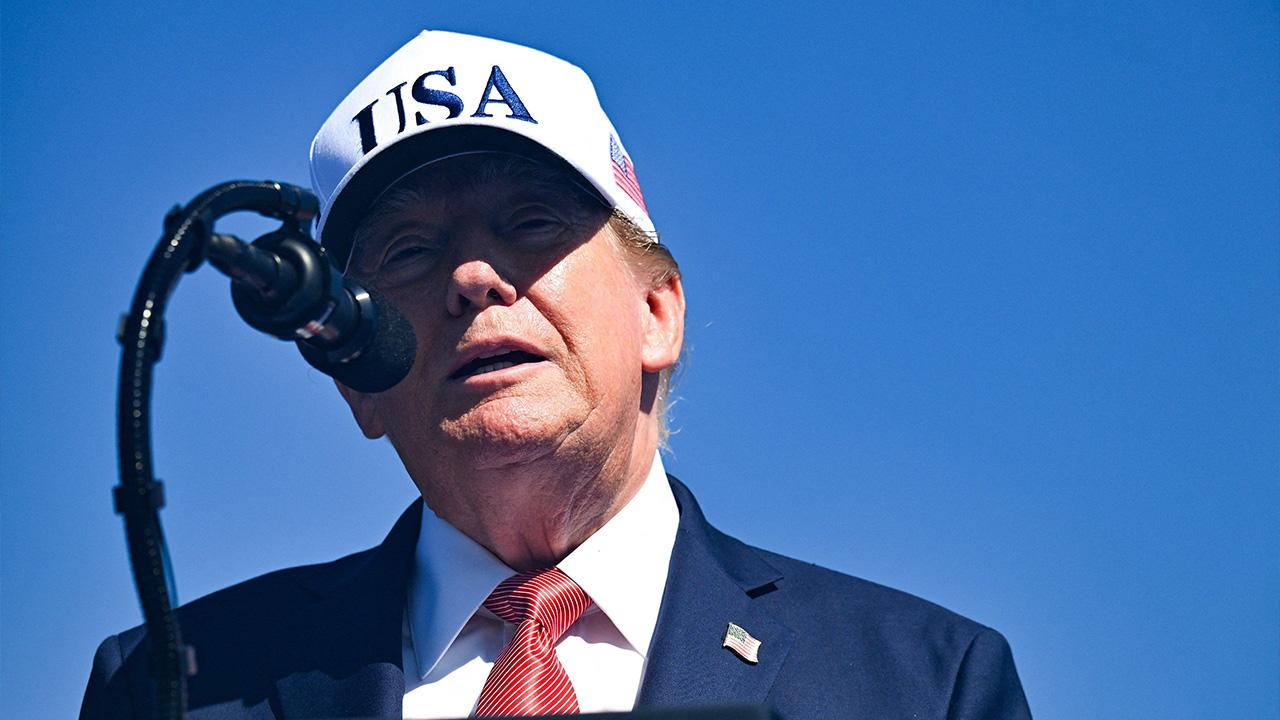 Image of Trump has baselessly dismissed rally hecklers as 'paid protesters.'