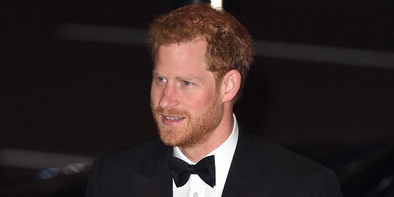 prince harry first appearance since honeymoon pp