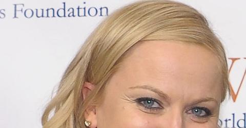 Amy poehler 11 14.jpg