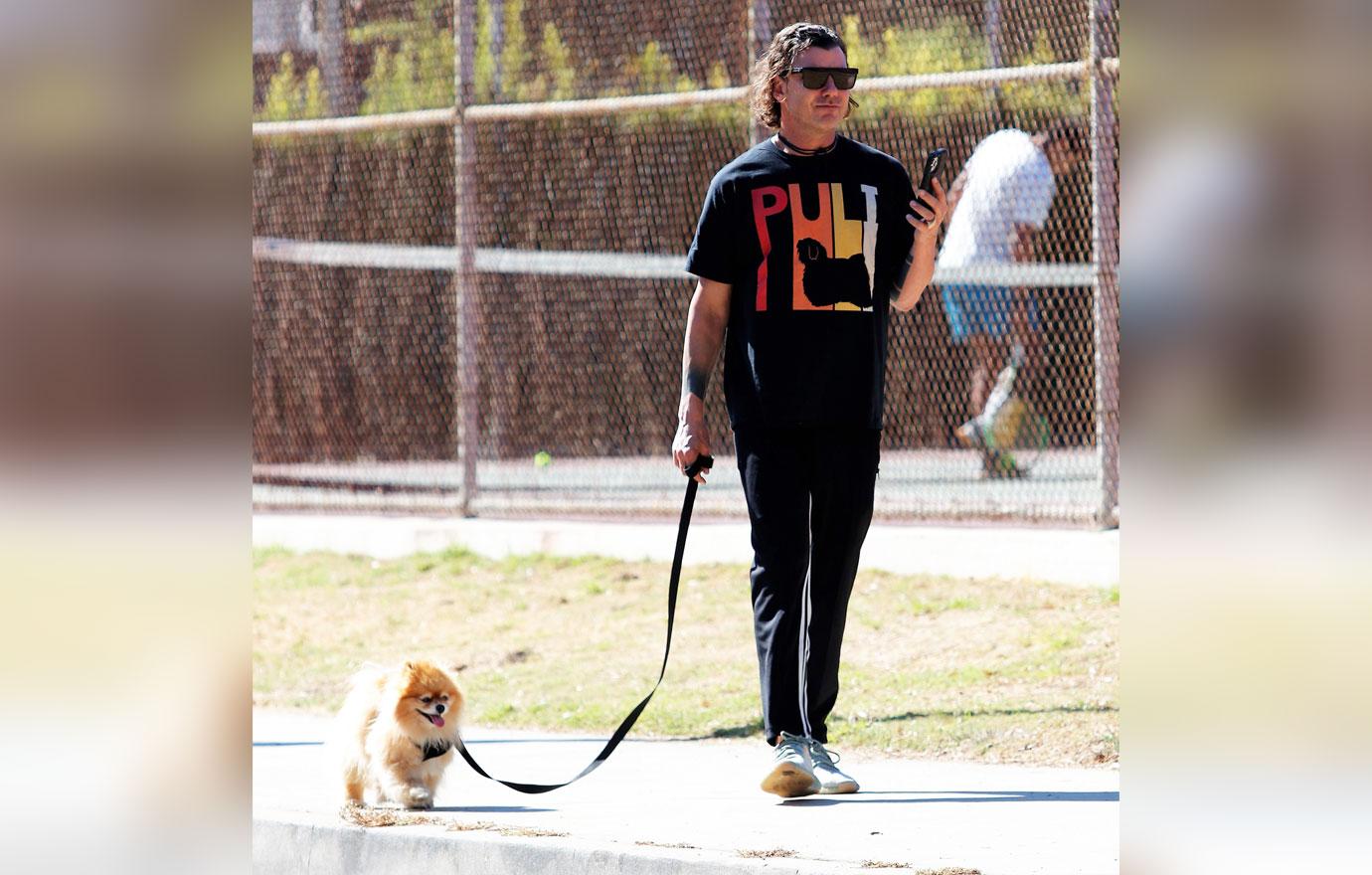 gavin rossdale spotted walking dog los angeles sparking fan concern canceling tour