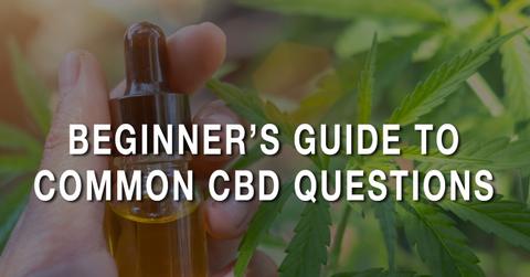 beginners-guide-to-common-cbd-questions