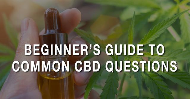 Beginner’s Guide To Common CBD Questions