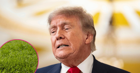 Photo of Donald Trump