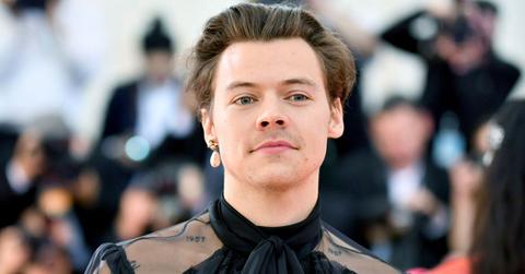 harry styles sexuality bisexual