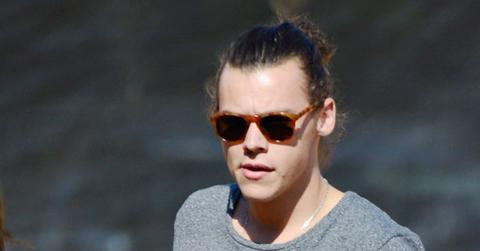 Harry styles pumpkin 2