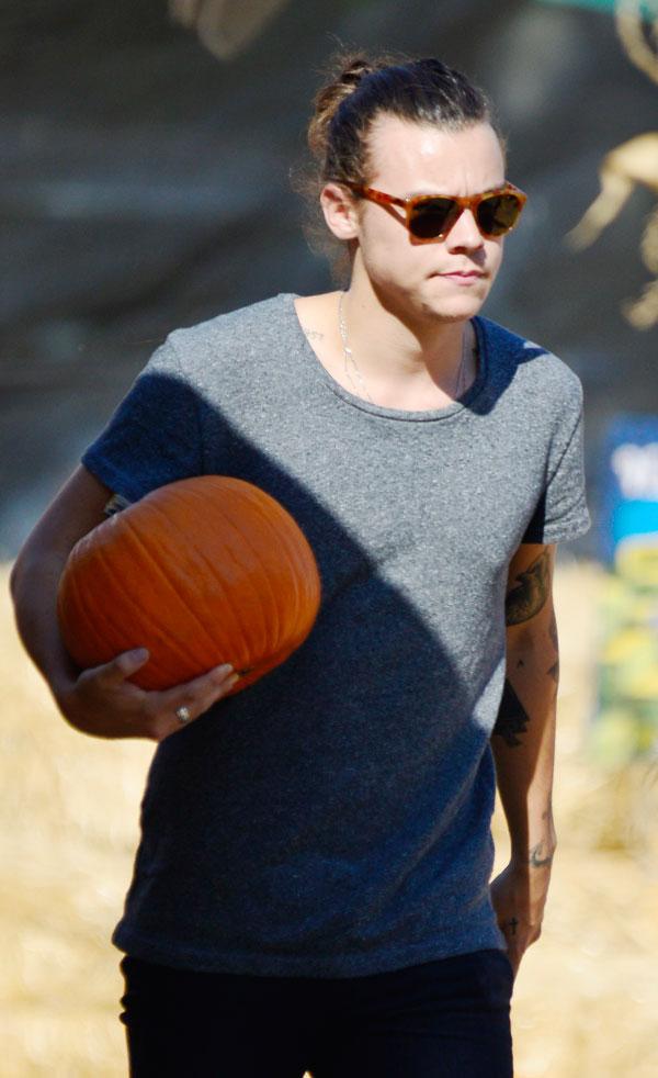 Harry styles pumpkin