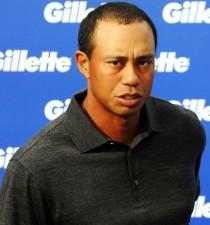 2010__01__FP_3996909_ICON_TIger_111109 210&#215;225.jpg