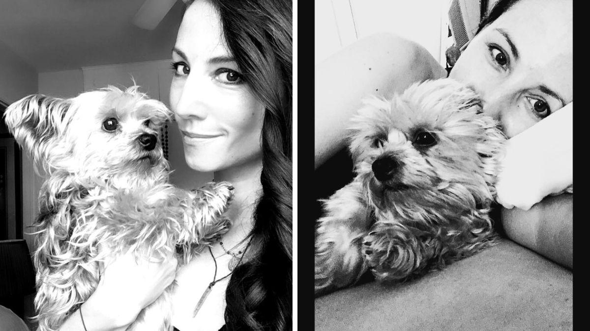 who is james van der beek ex wife heather mccomb