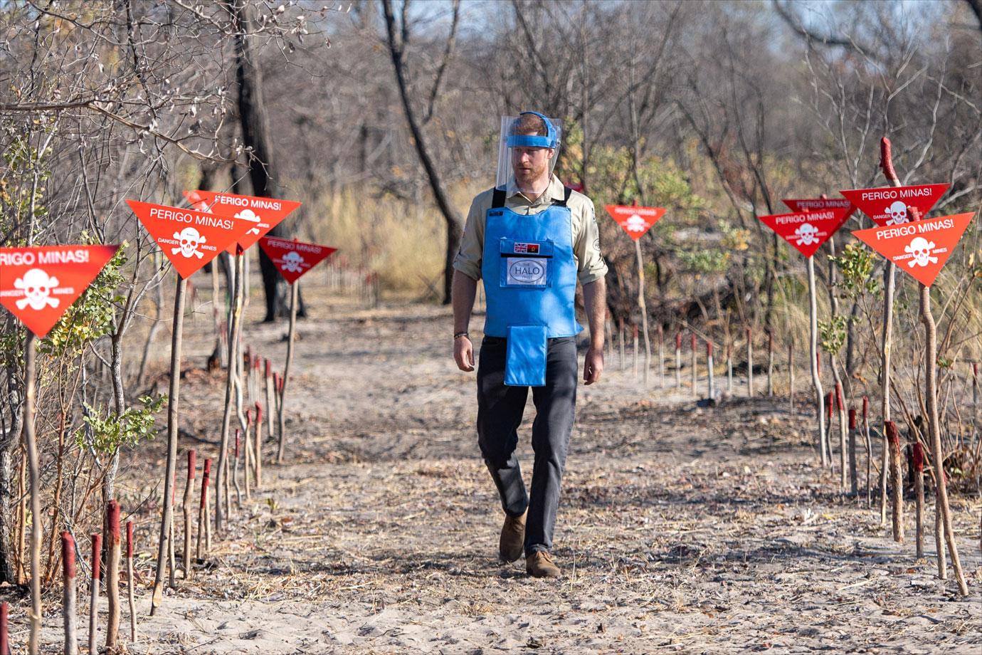 prince harry minefields