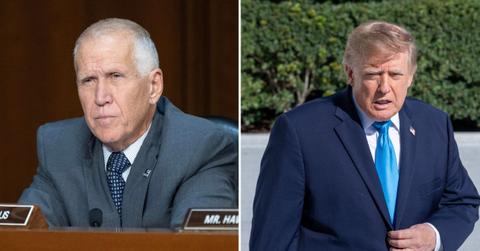 Split image of Donald Trump and Thom TIllis