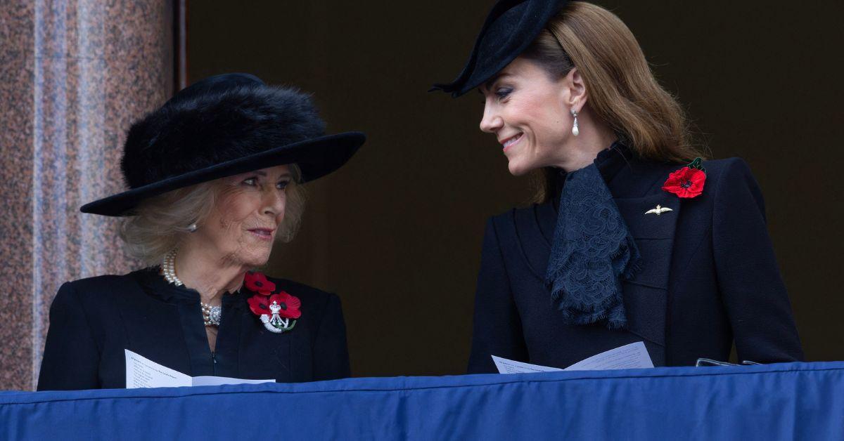 image of Queen Camilla has been an advocate for victims of abuse for decades.