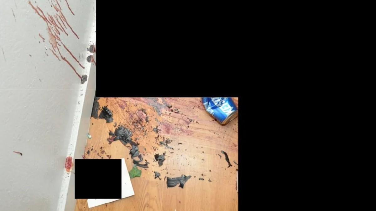 image of Dylan Mortensen described the quadruple murder as 'a hollow vessel' in her victim impact statement.