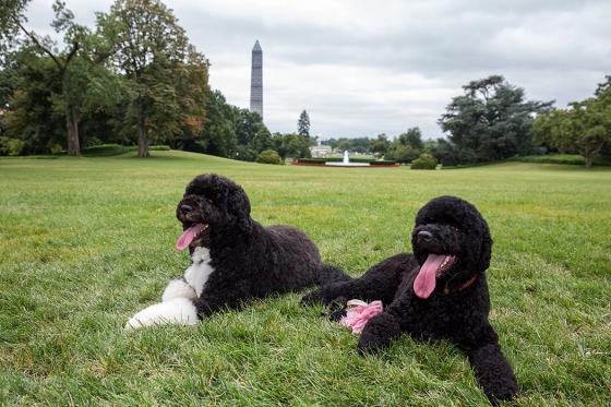 Pete Souza