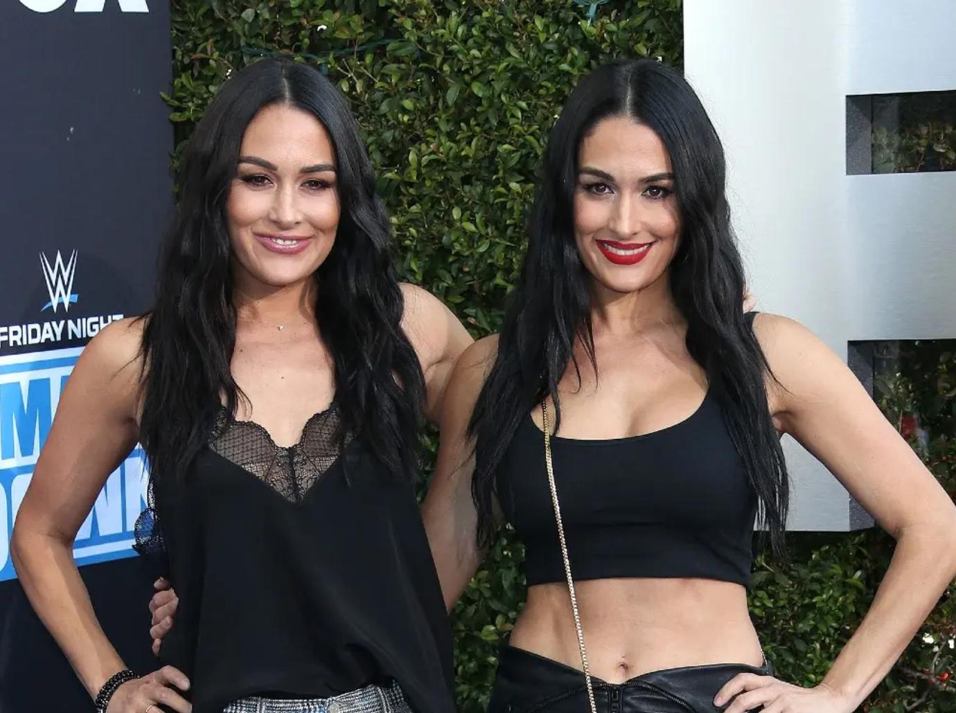 brie garcia sister nikki support divorce artem chigvintsev arrest