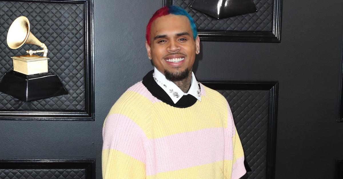 chris brown former housekeeper wants  million dog attack