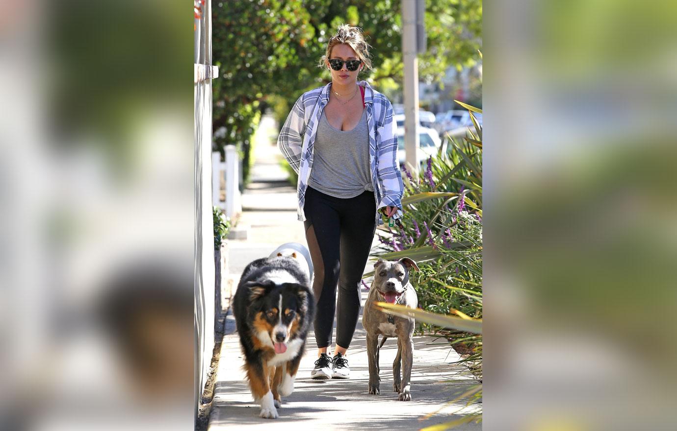 Hilary duff matthew koma adopt 3