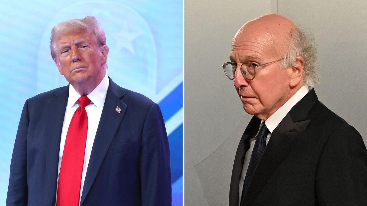 Split Image of Donald Trump and Larry David.