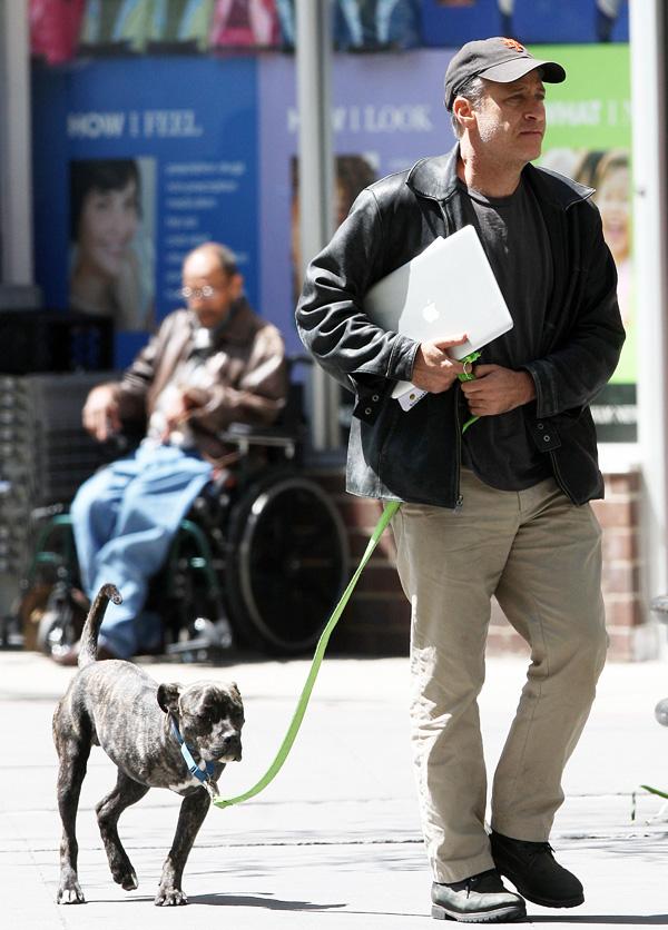 Jon Stewart Walks His Three Legged Dog In NYC