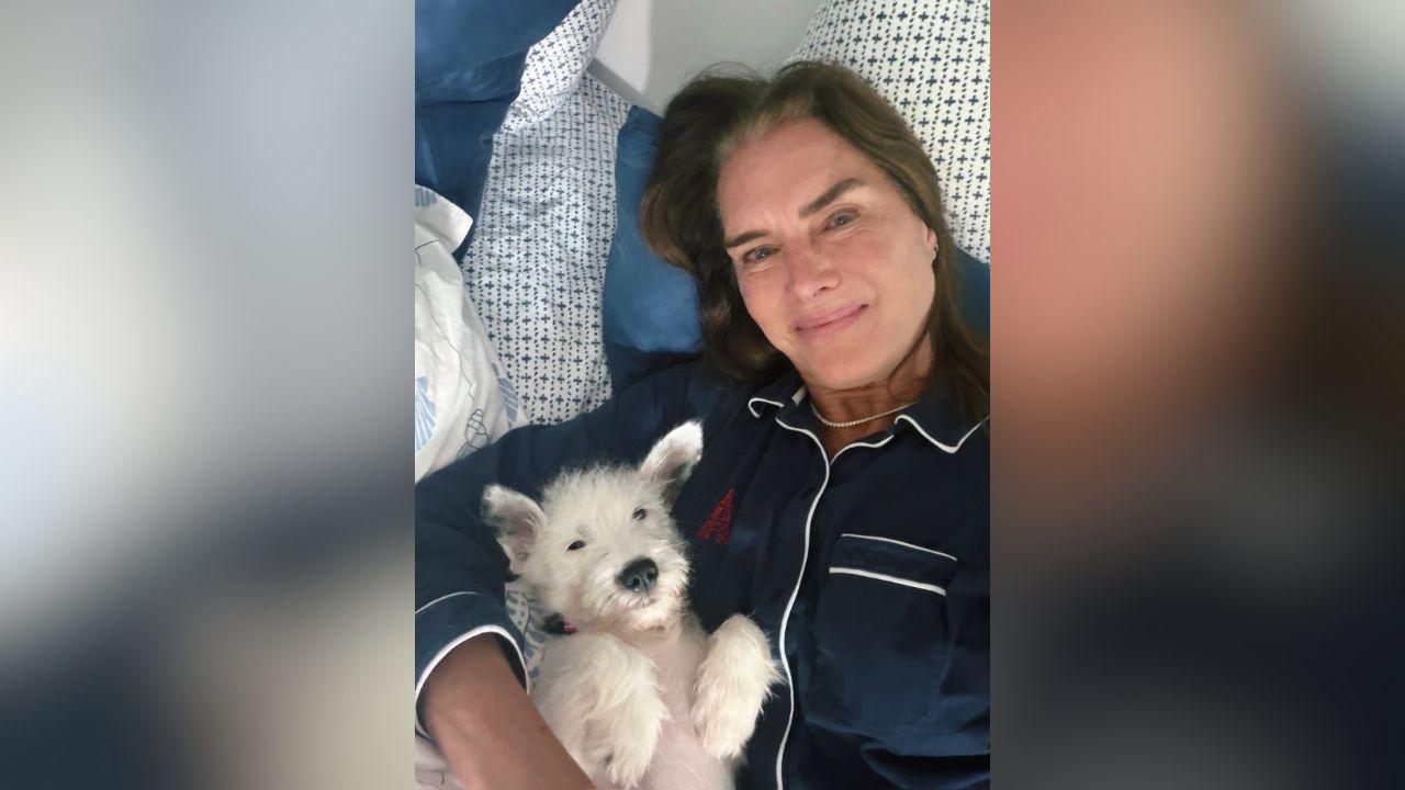 image of Brooke Shields recently introduced her family's newest dog, Shippy, after adopting her from the Southampton Animal Shelter in New York.