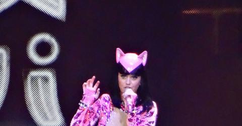 Katy perry cat