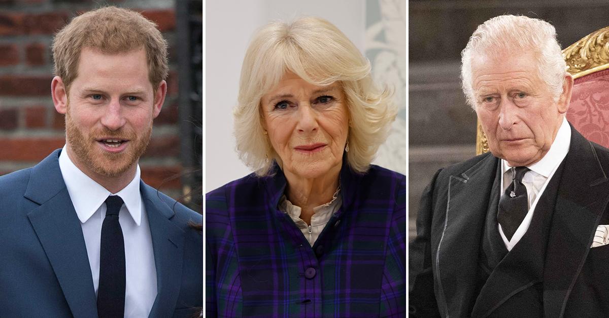 King Charles Can't Forgive Prince Harry's 'Vicious Attack's On Camilla