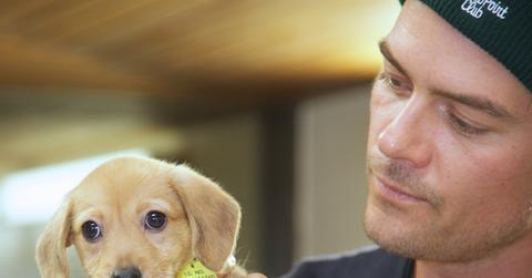 Josh Duhamel Pet Smart