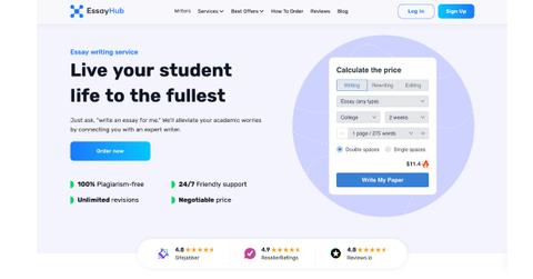 essayhub reviews uncovered insights from academic professional