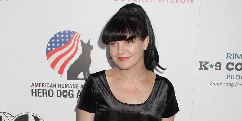 Pauley perrette assault claims cbs response main