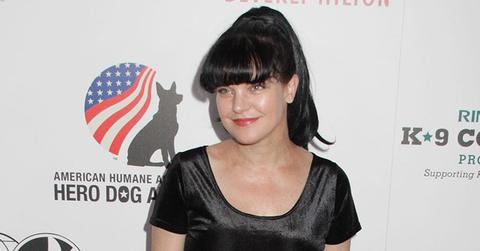 Pauley perrette assault claims cbs response main