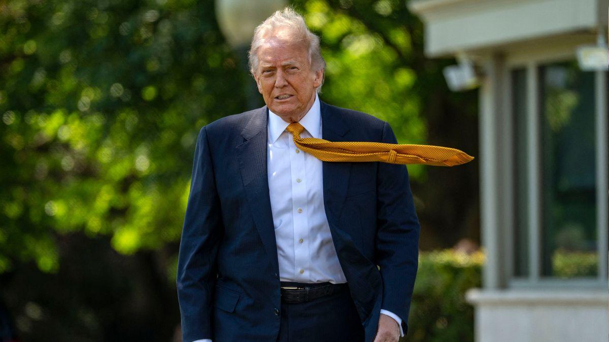 image of Donald trump 
