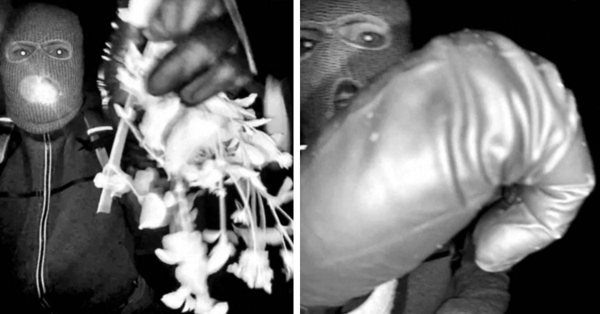 image of The sheriff involved in the case disputed the journalist's claims. 