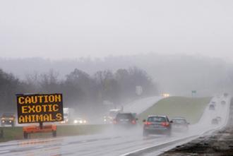 Exotic animals oct20ne_0.jpg