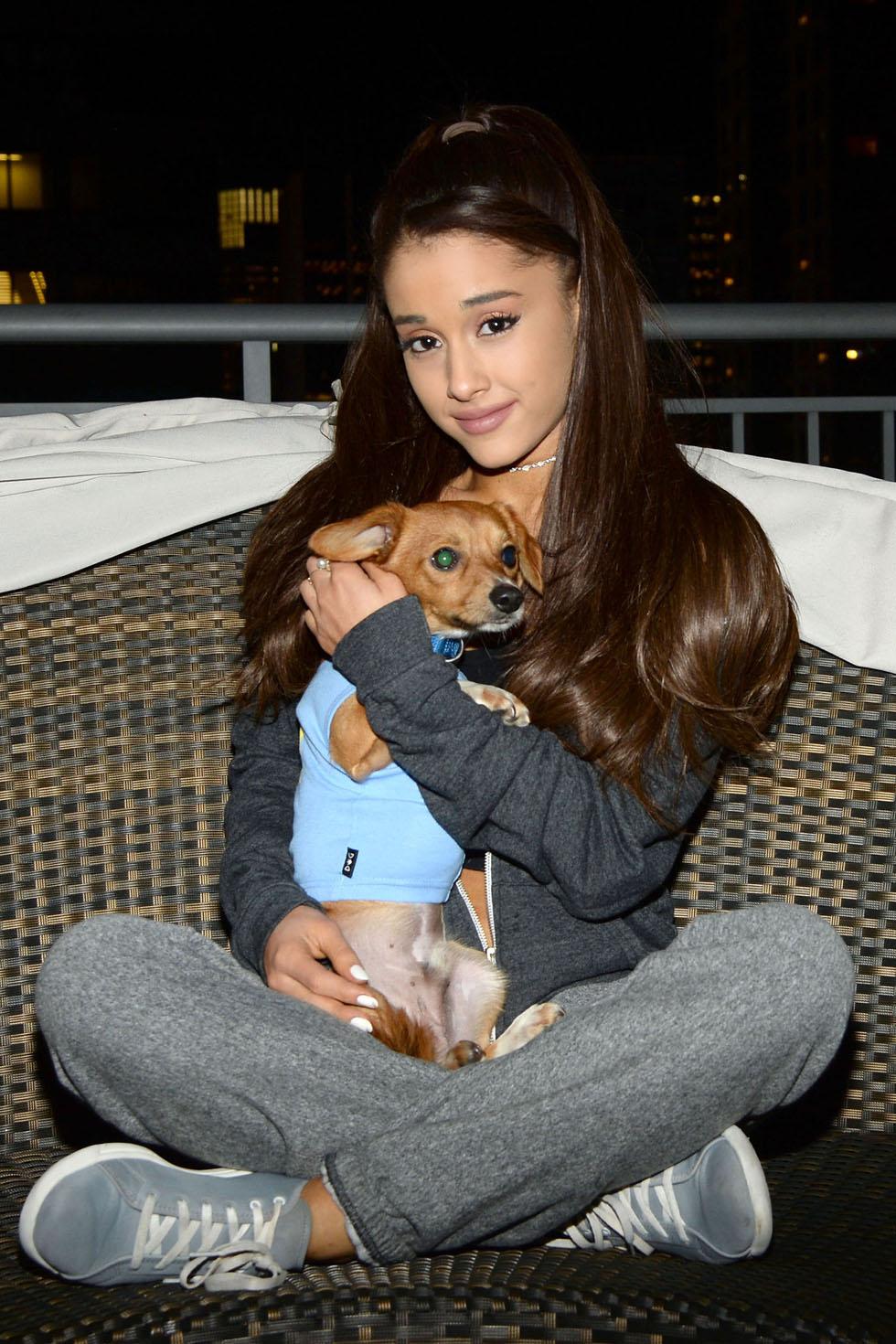 Ariana Grande Teams With BarkBox To Find Homes For Rescue Pups During Her MSG Shows