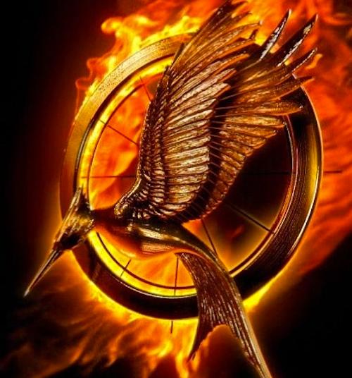 'Catching Fire' Logo Released: Are You Excited for 'The Hunger Games ...