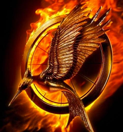 'Catching Fire' Logo Released: Are You Excited for 'The Hunger Games ...