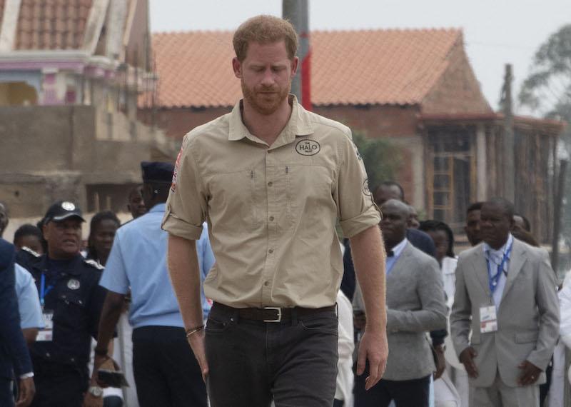 princess diana prince harry leaving royal family